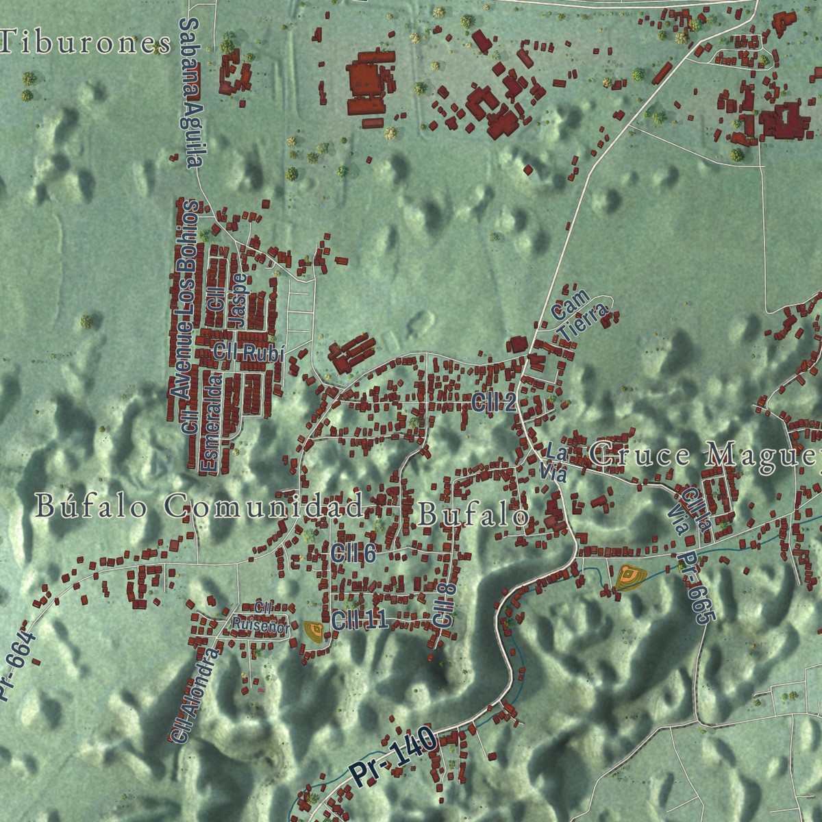 Second close-up of the map of Barceloneta, Puerto Rico print showing more streets and buildings