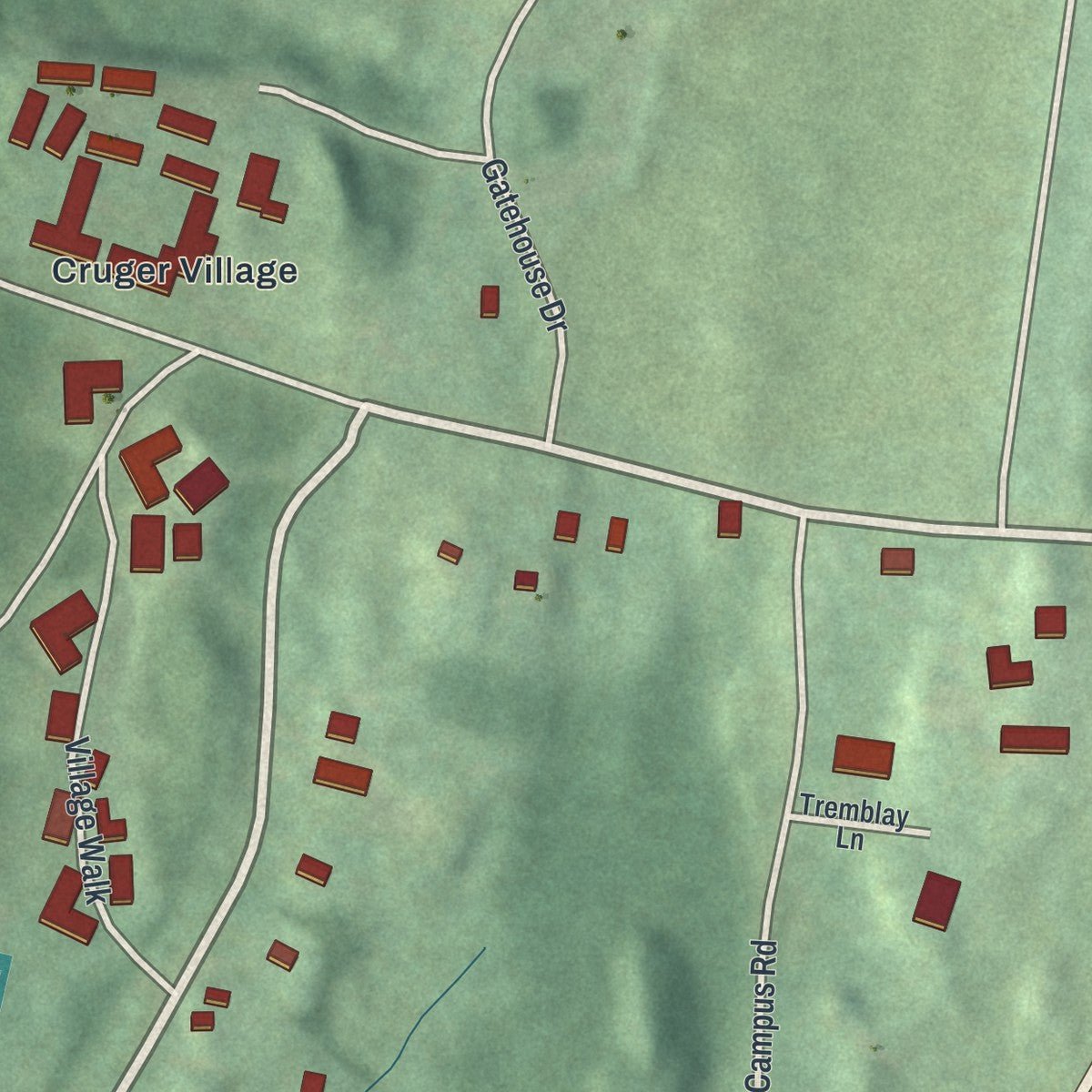 Second close-up of the map of Bard College, New York print showing more streets and buildings