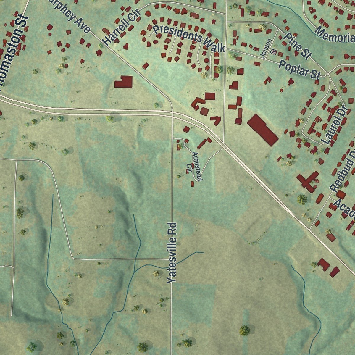 Second close-up of the map of Barnesville, Georgia print showing more streets and buildings