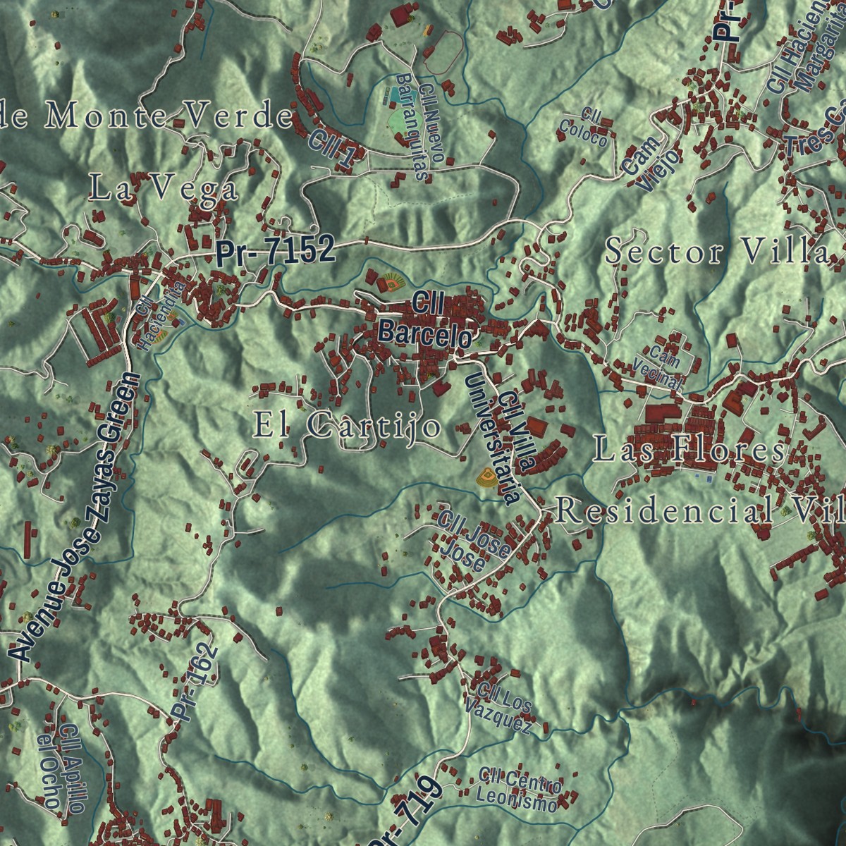 Second close-up of the map of Barranquitas, Puerto Rico print showing more streets and buildings