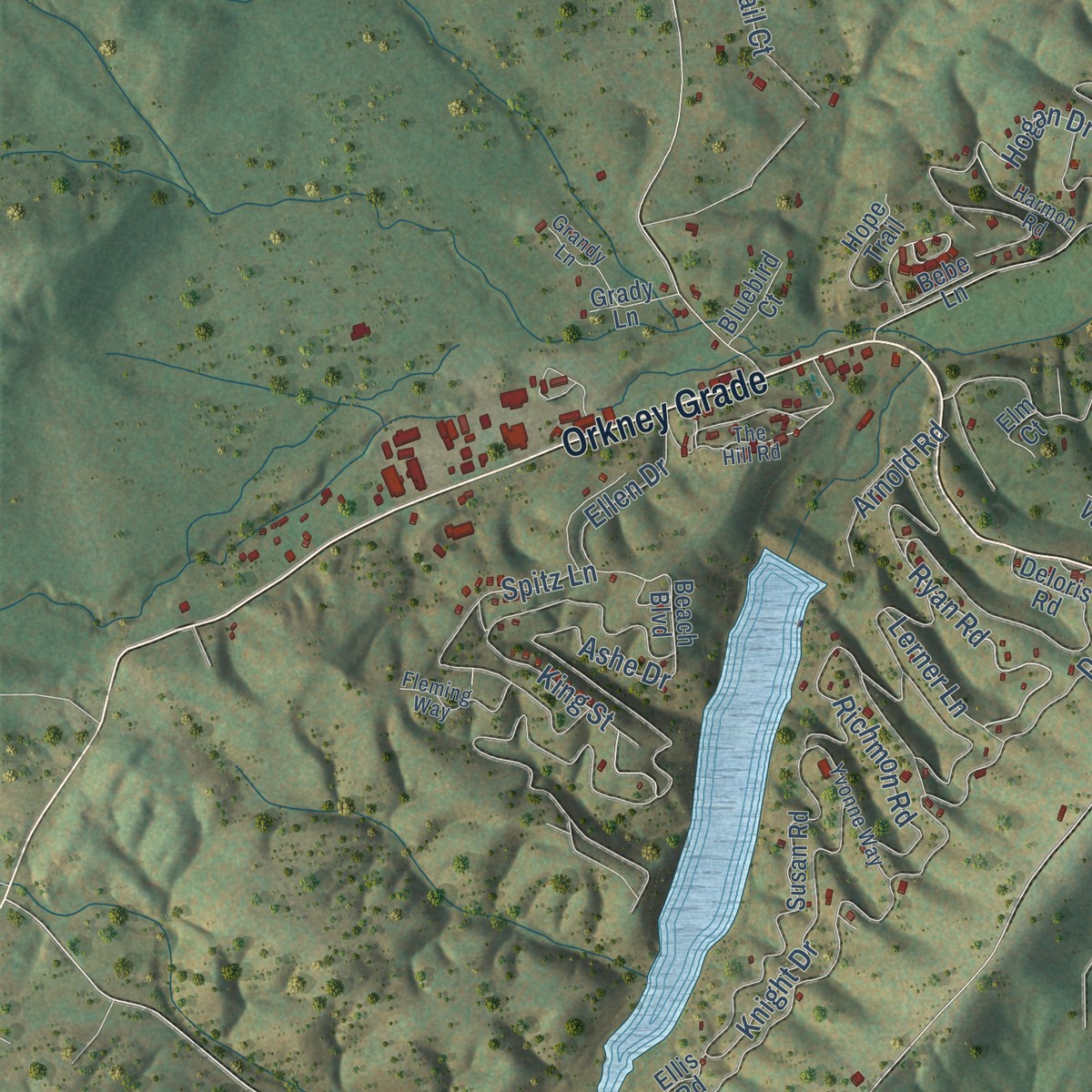 Second close-up of the map of Basye, Virginia print showing more streets and buildings