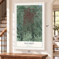 Bayamón, Puerto Rico map, 24 x 36 inch print in a white frame by a staircase