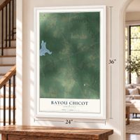 Bayou Chicot, Louisiana map, 24 x 36 inch print in a white frame by a staircase