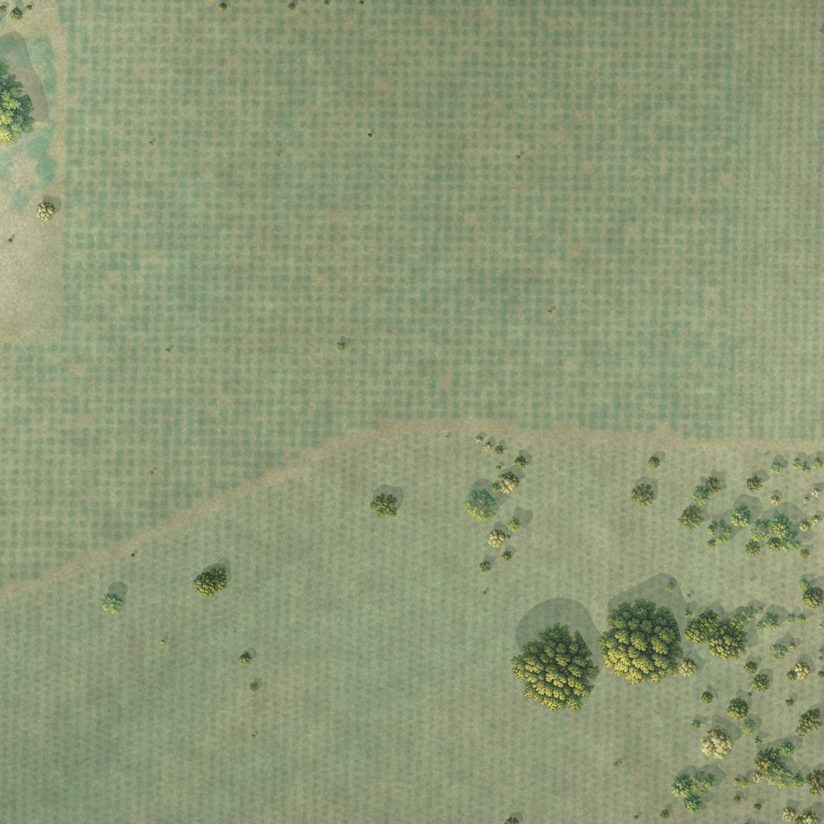 Second close-up of the map of Bear Creek, California print showing more streets and buildings