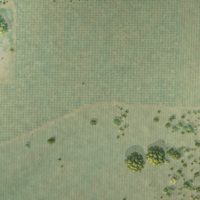 Second close-up of the map of Bear Creek, California print showing more streets and buildings