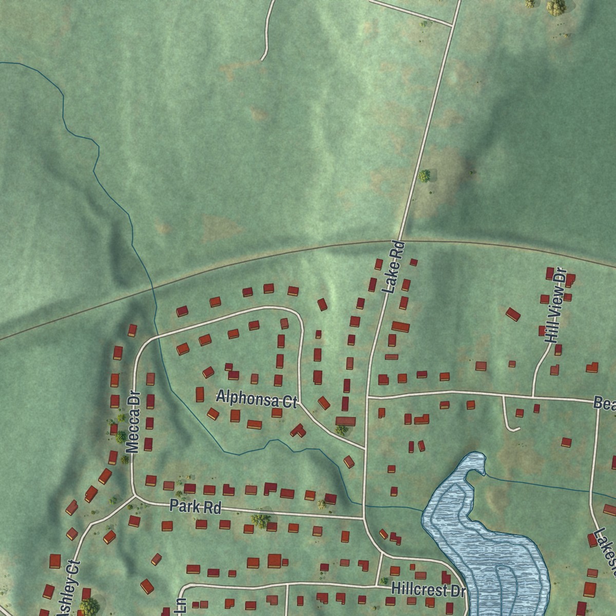 Second close-up of the map of Beaver Dam Lake, New York print showing more streets and buildings