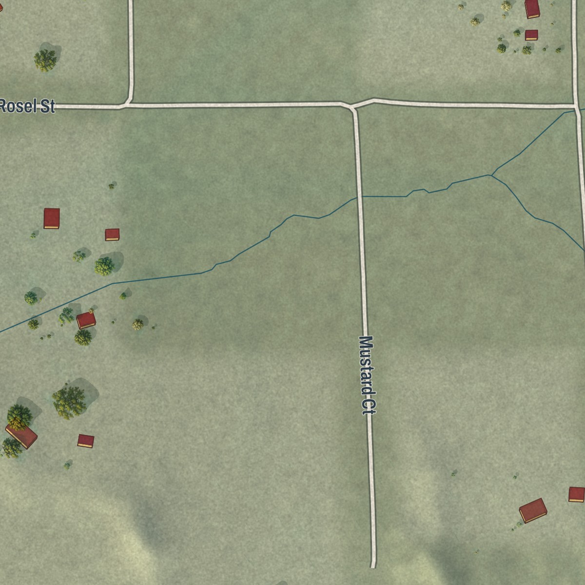 Second close-up of the map of Beaverdam, Nevada print showing more streets and buildings