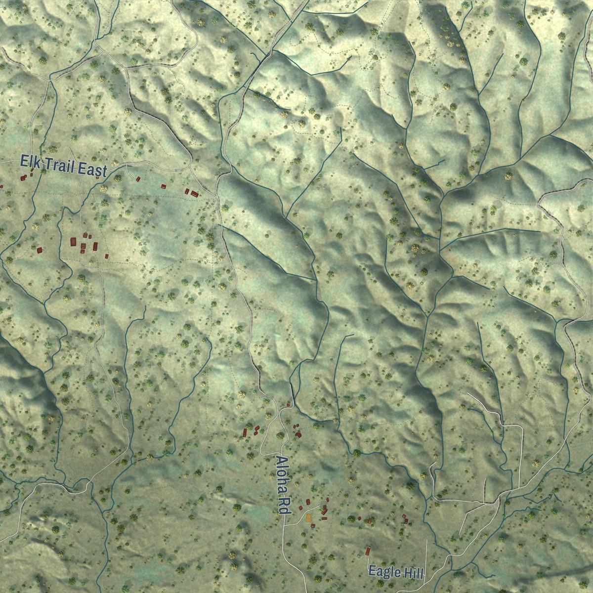 Second close-up of the map of Bella Vista, California print showing more streets and buildings