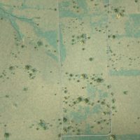 Second close-up of the map of Ben Wheeler, Texas print showing more streets and buildings