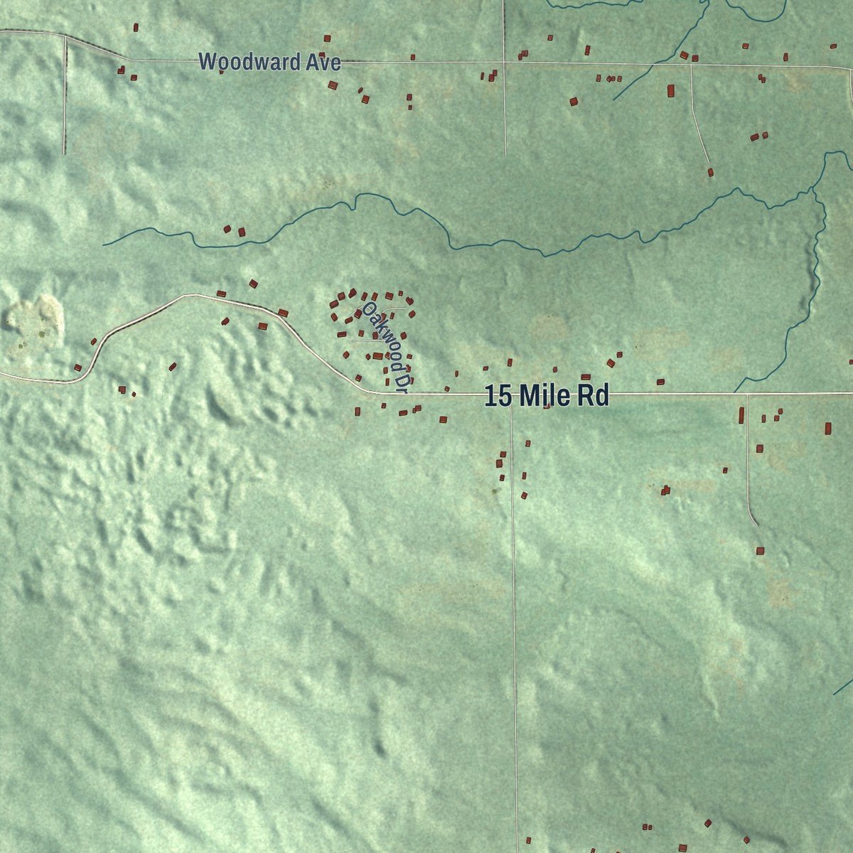 Second close-up of the map of Big Rapids, Mecosta County, Michigan print showing more streets and buildings