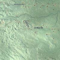 Second close-up of the map of Big Rapids, Mecosta County, Michigan print showing more streets and buildings