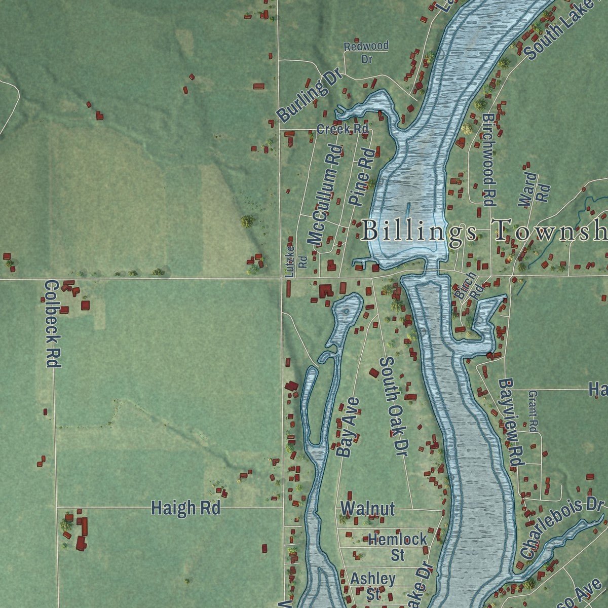 Second close-up of the map of Billings, Michigan print showing more streets and buildings