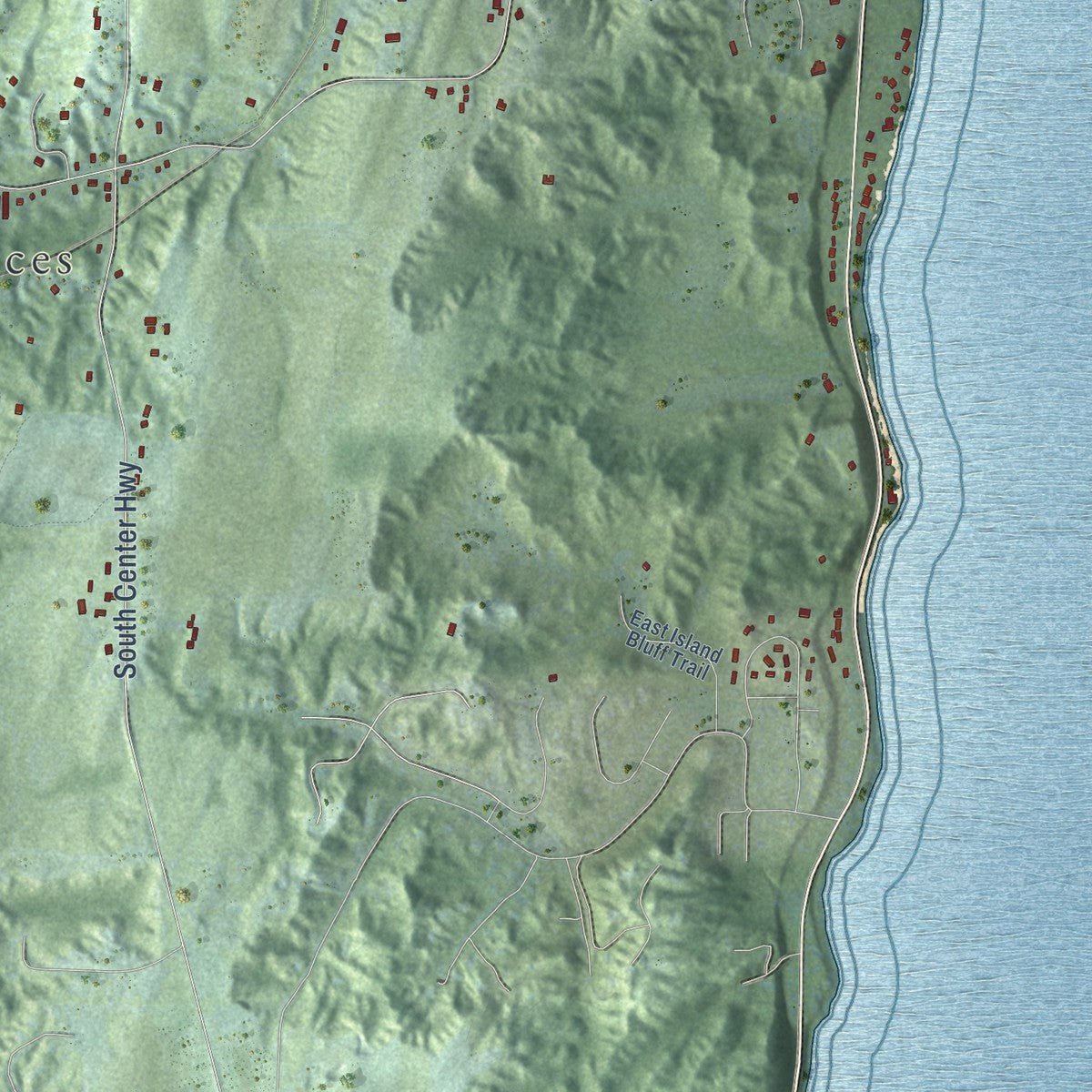 Second close-up of the map of Bingham, Leelanau County, Michigan print showing more streets and buildings