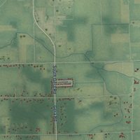 Second close-up of the map of Birch Run, Saginaw County, Michigan print showing more streets and buildings