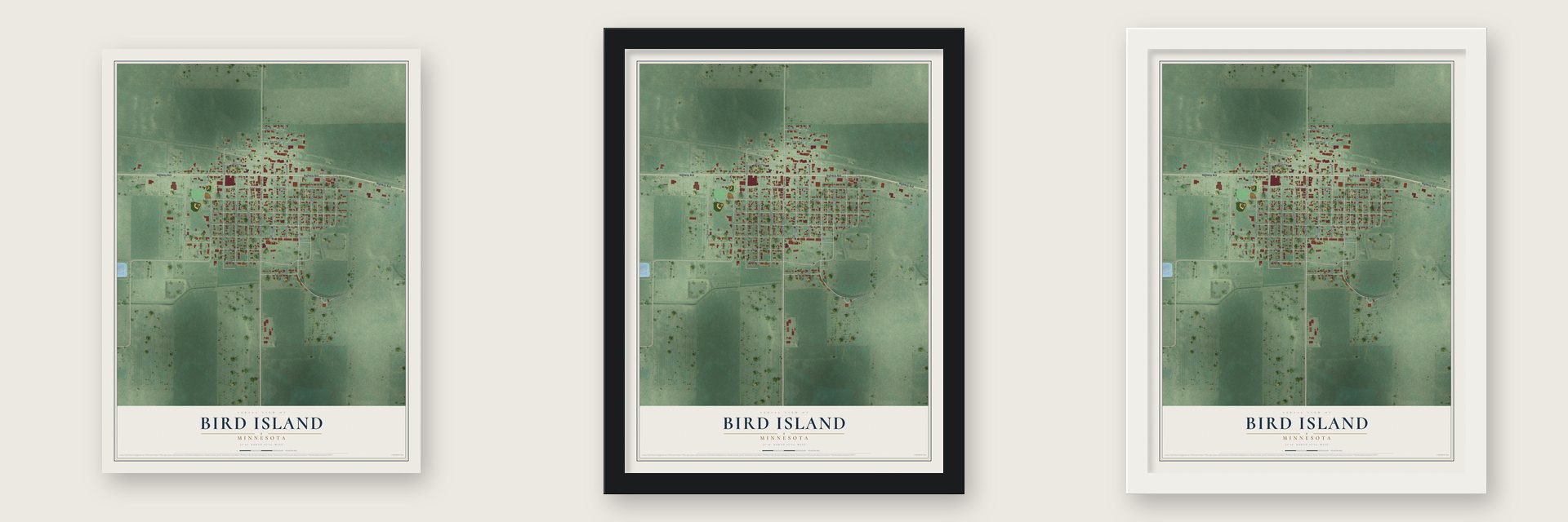 Bird Island, Minnesota map unframed, in a black wood frame and in a white wood frame