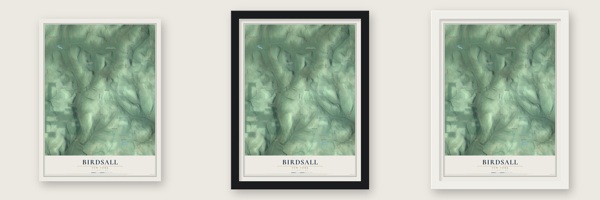 Birdsall, New York map unframed, in a black wood frame and in a white wood frame