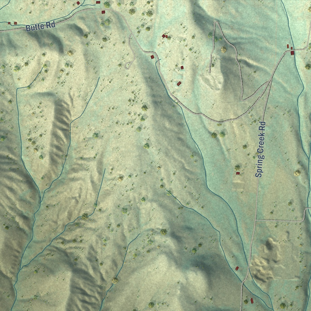 Second close-up of the map of Black Canyon, Idaho print showing more streets and buildings