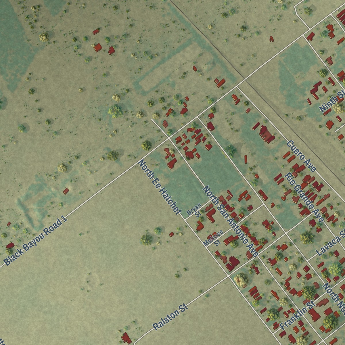 Second close-up of the map of Bloomington, Texas print showing more streets and buildings