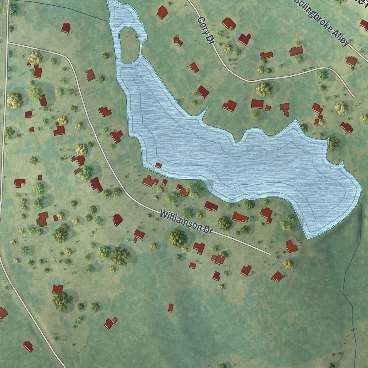 Second close-up of the map of Bolingbroke, Georgia print showing more streets and buildings