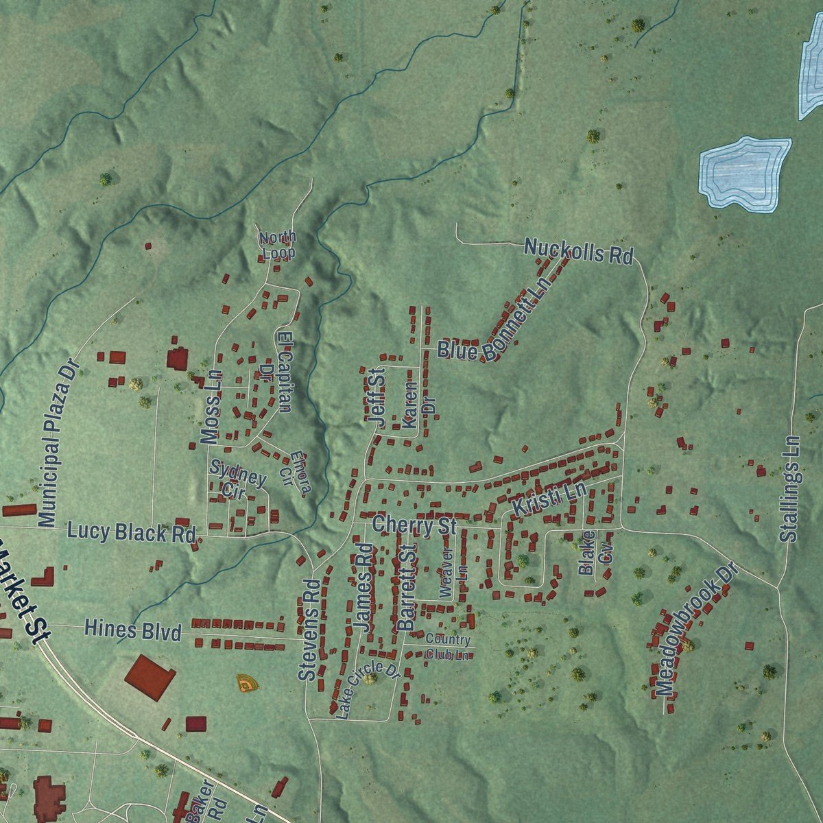 Second close-up of the map of Bolivar, Tennessee print showing more streets and buildings