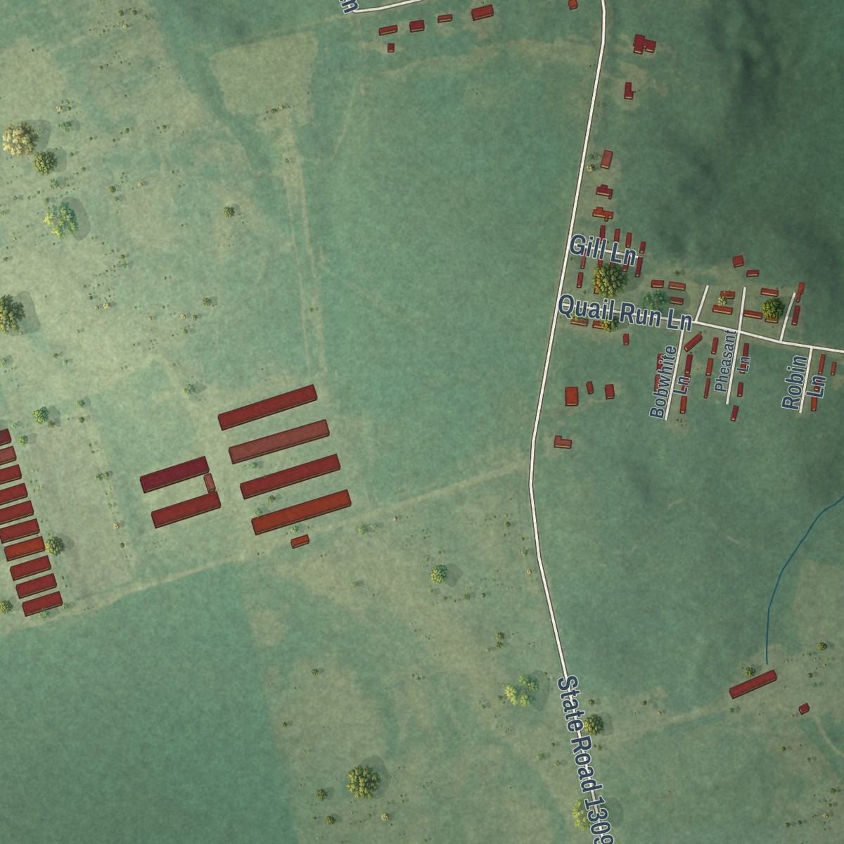 Second close-up of the map of Bonnetsville, North Carolina print showing more streets and buildings