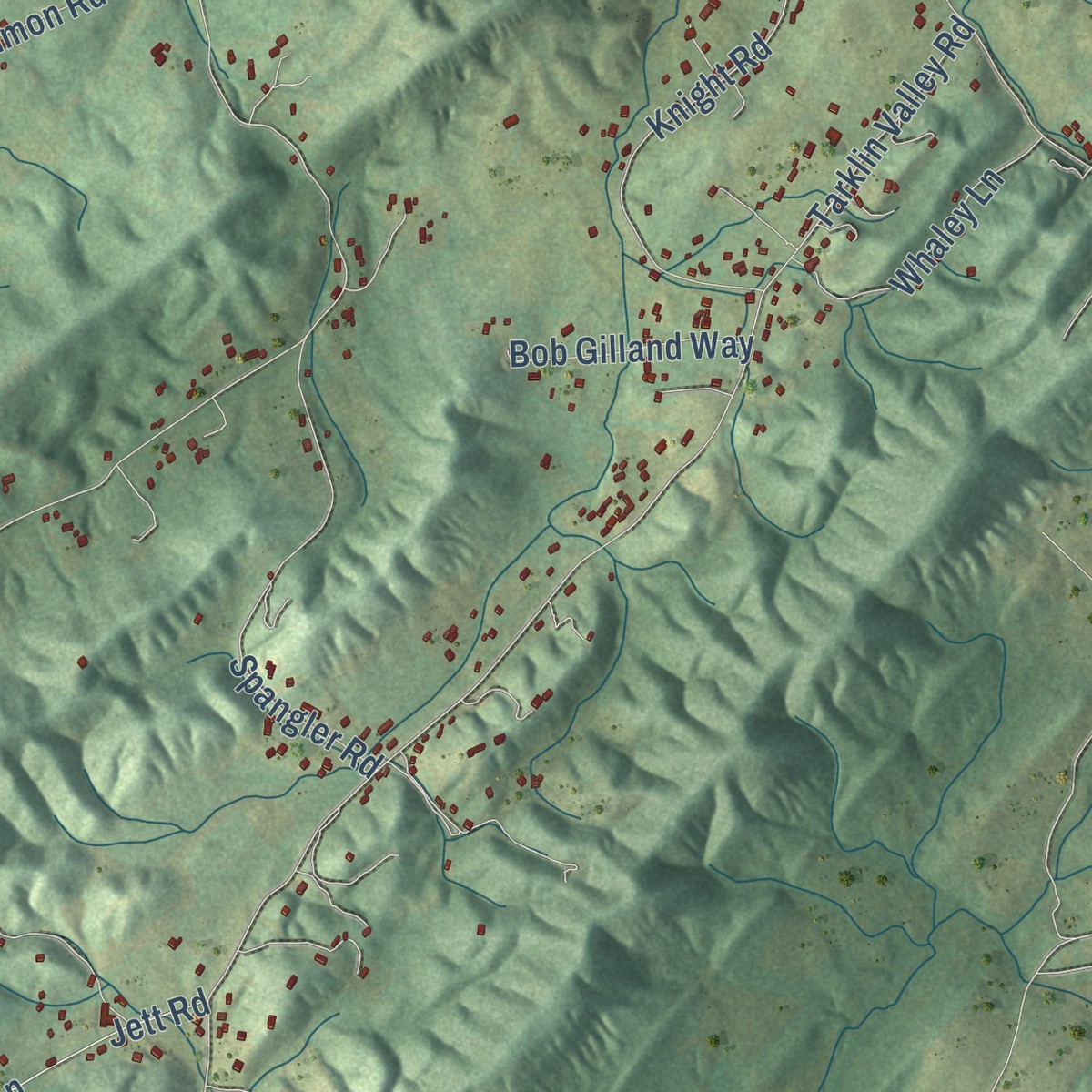 Second close-up of the map of Bonny Kate, Tennessee print showing more streets and buildings