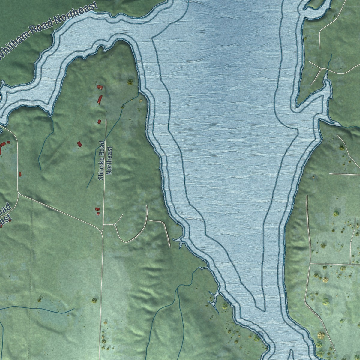 Second close-up of the map of Boston Harbor, Washington print showing more streets and buildings