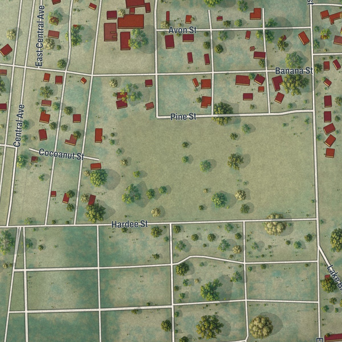 Second close-up of the map of Bowling Green, Florida print showing more streets and buildings