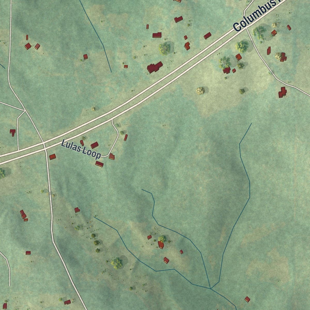 Second close-up of the map of Box Springs, Georgia print showing more streets and buildings