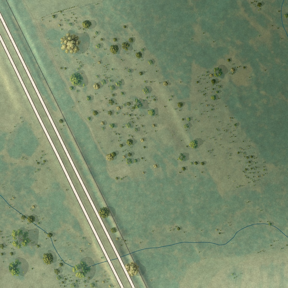 Second close-up of the map of Boykin, Georgia print showing more streets and buildings