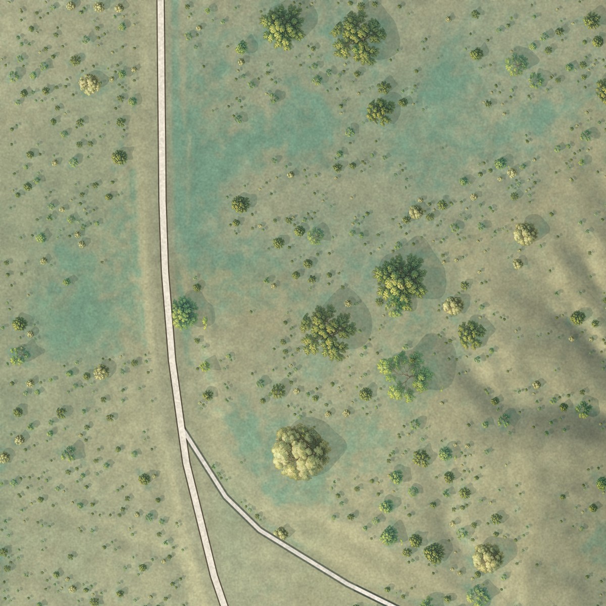 Second close-up of the map of Boys Ranch, Texas print showing more streets and buildings
