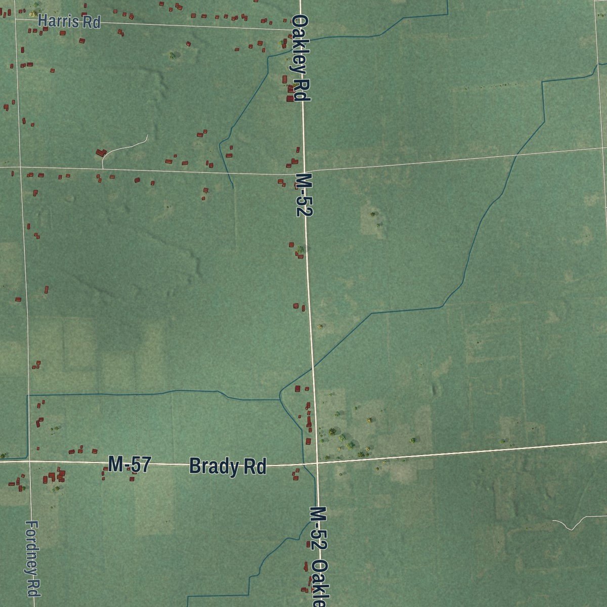 Second close-up of the map of Brady, Saginaw County, Michigan print showing more streets and buildings