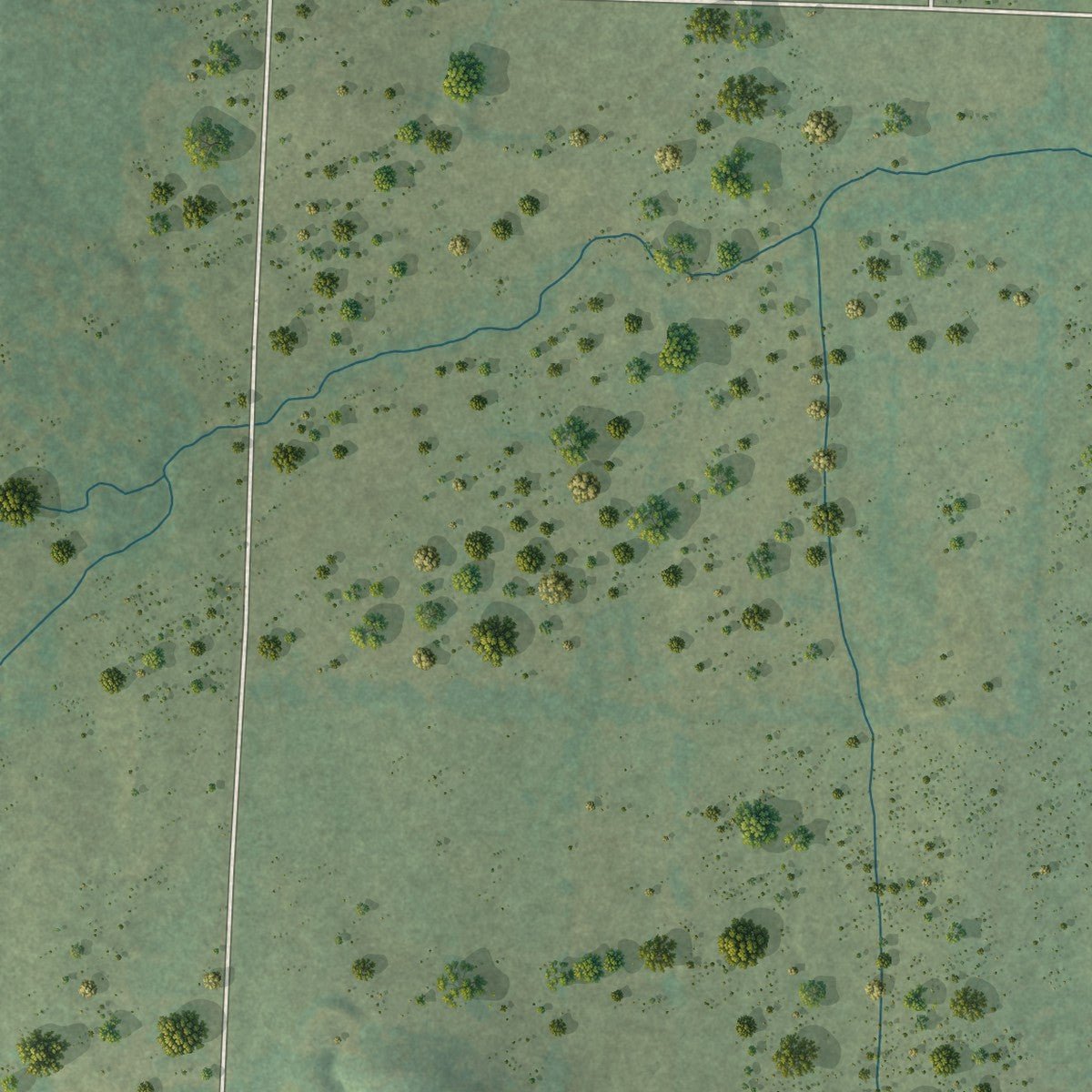 Second close-up of the map of Branch, Arkansas print showing more streets and buildings
