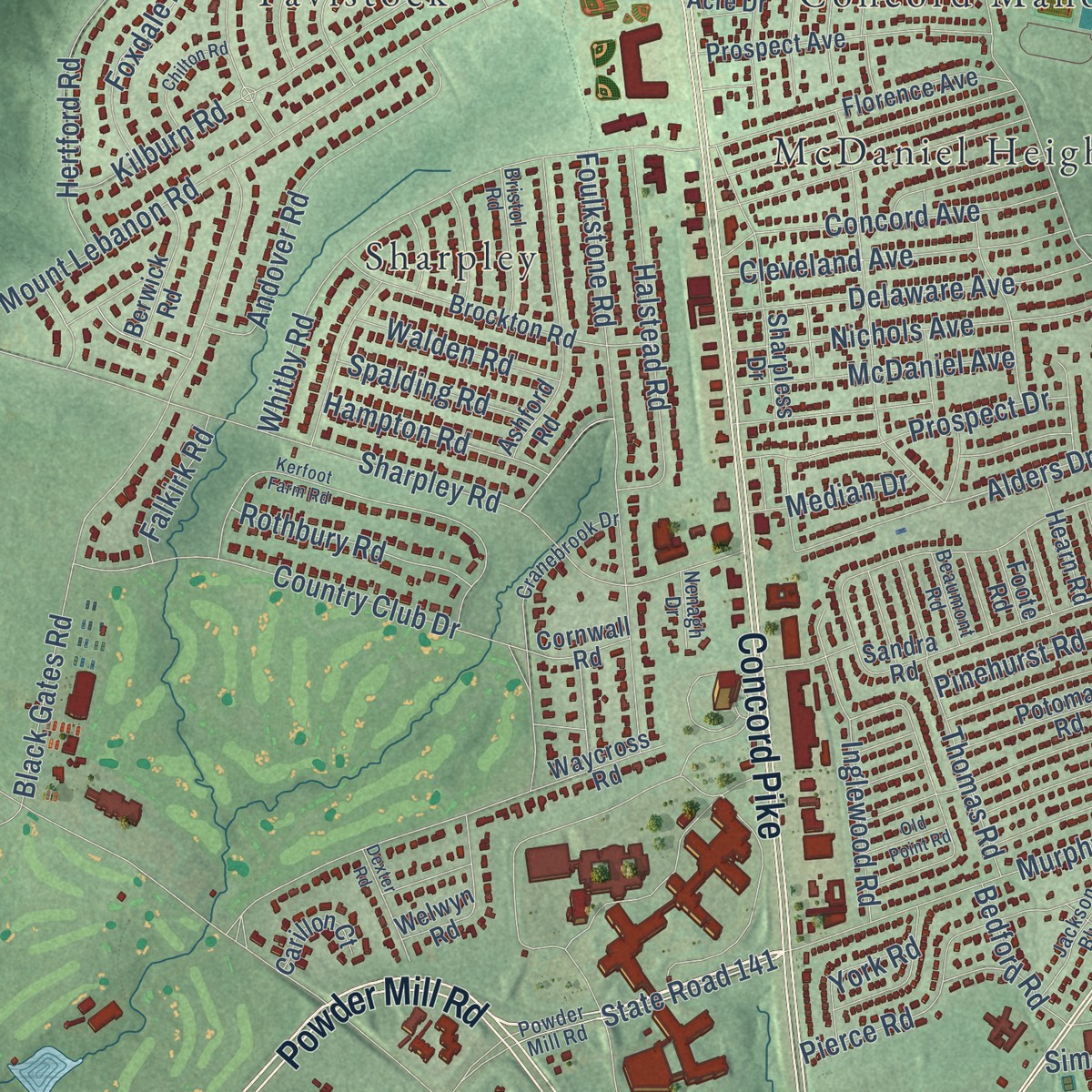 Second close-up of the map of Brandywine, Delaware print showing more streets and buildings