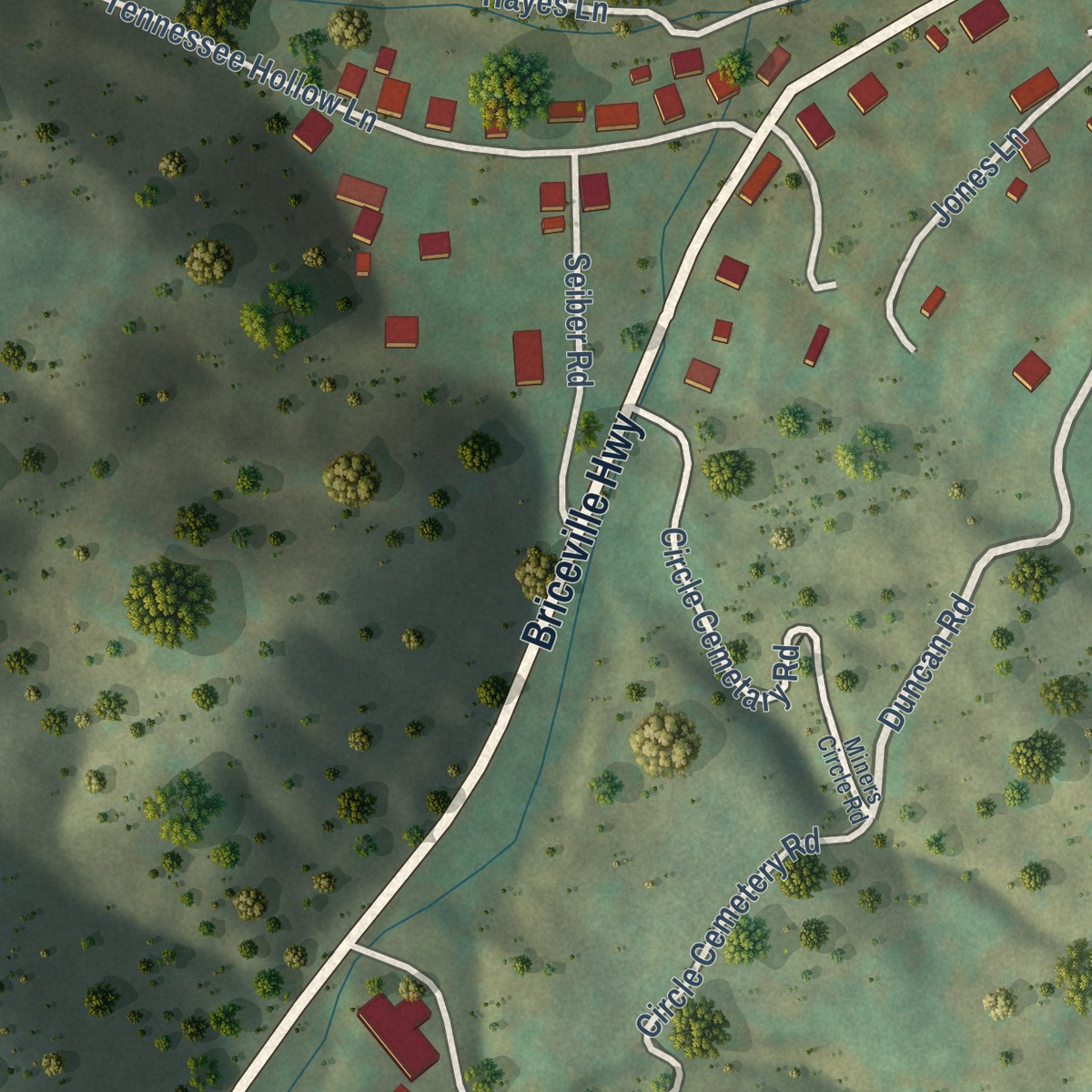 Second close-up of the map of Briceville, Tennessee print showing more streets and buildings