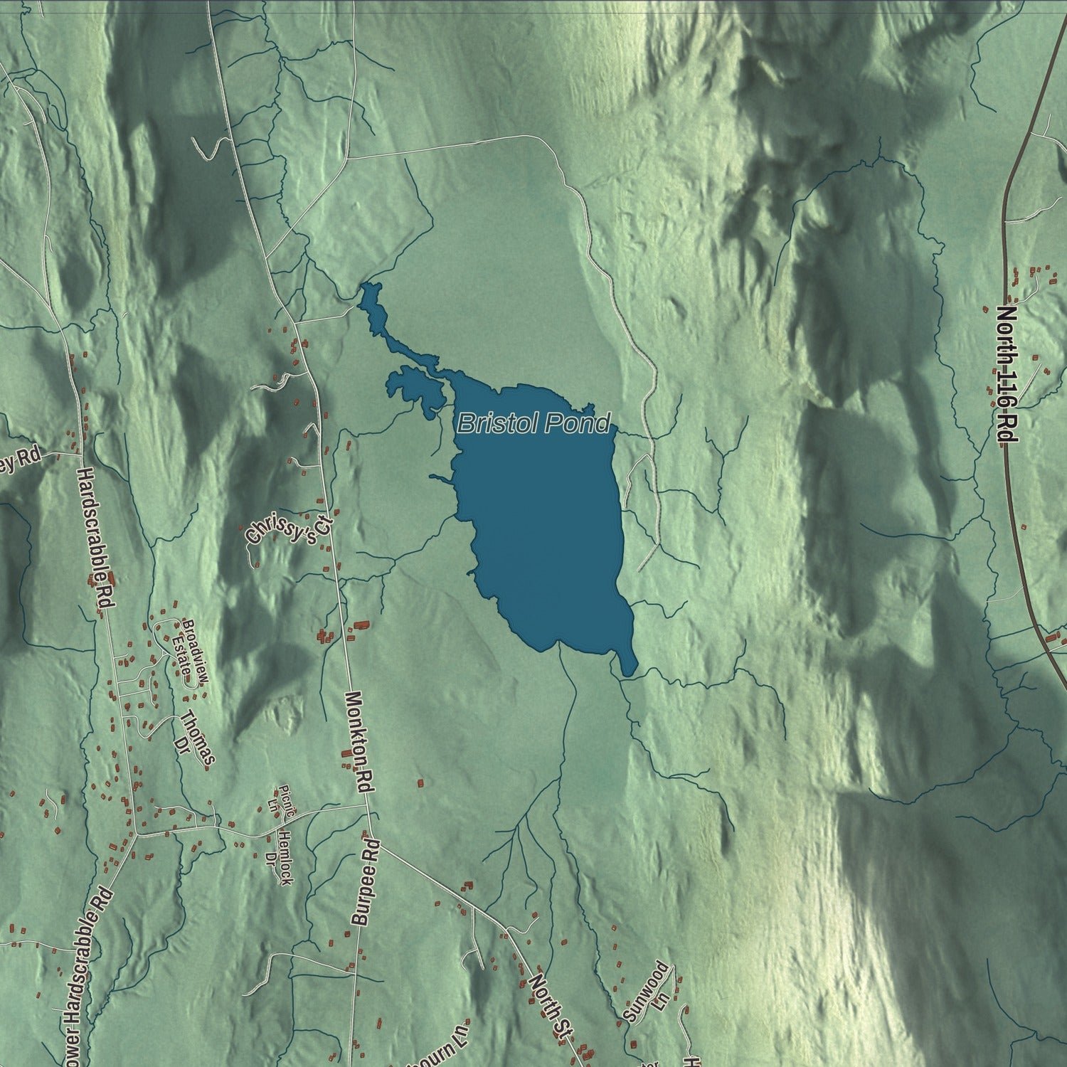 Close-up of the map of Bristol, Vermont print showing terrain and local geography
