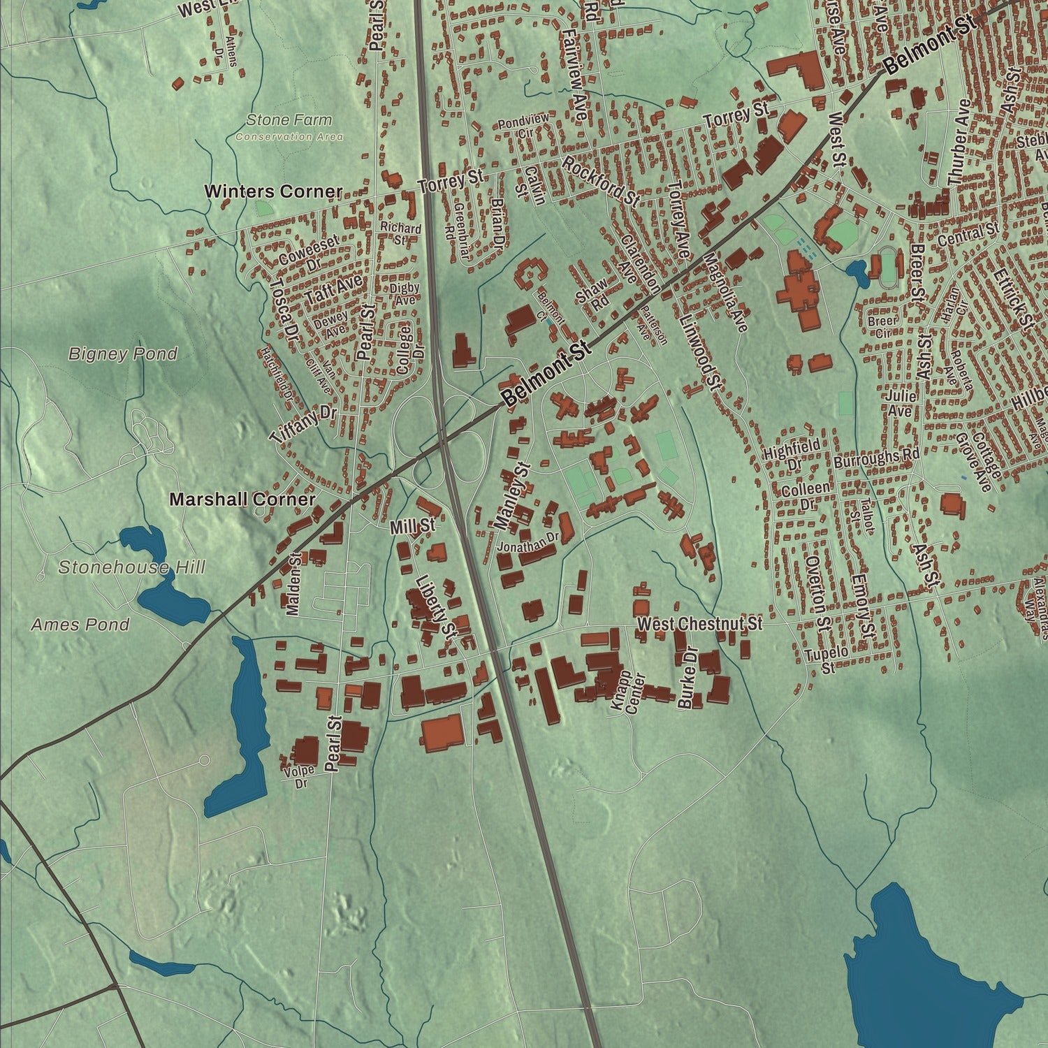 Close-up of the map of Brockton, Massachusetts print showing terrain and local geography