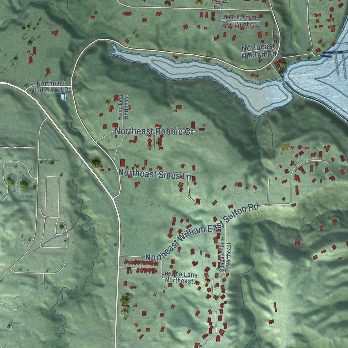 Second close-up of the map of Brownsville, Washington print showing more streets and buildings