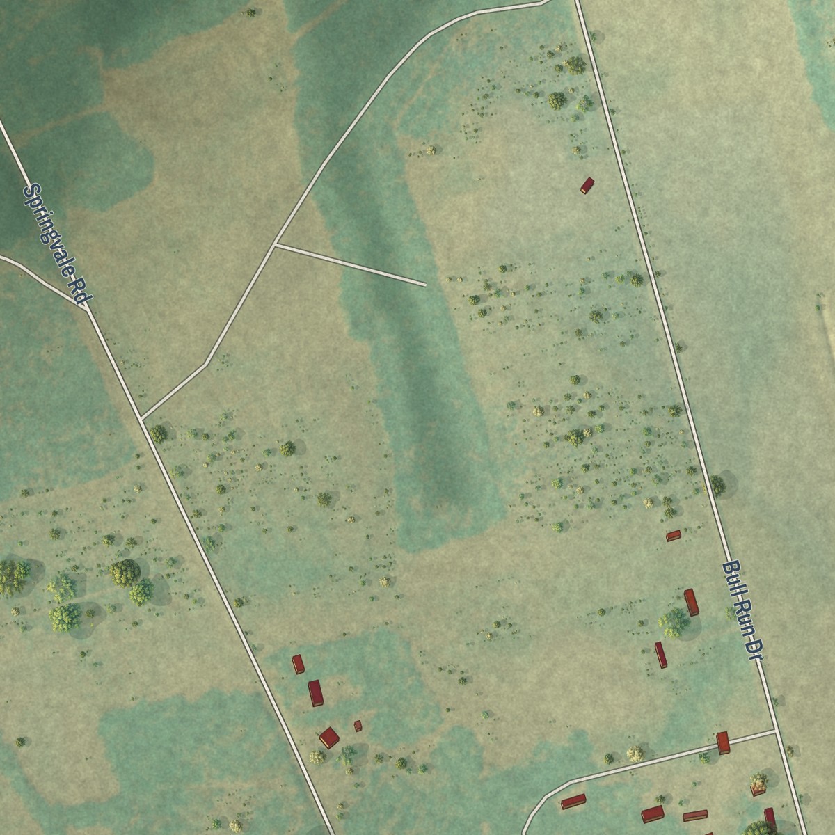 Second close-up of the map of Browntown, South Carolina print showing more streets and buildings