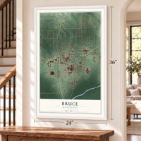 Bruce, Mississippi map, 24 x 36 inch print in a white frame by a staircase