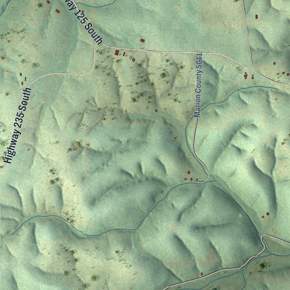 Second close-up of the map of Bruno, Arkansas print showing more streets and buildings