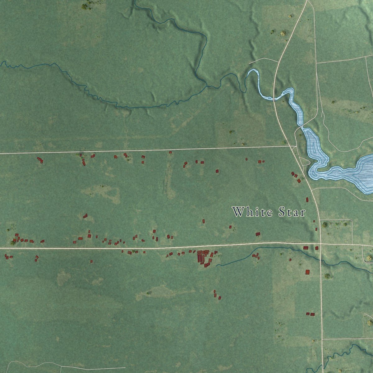 Second close-up of the map of Buckeye, Michigan print showing more streets and buildings