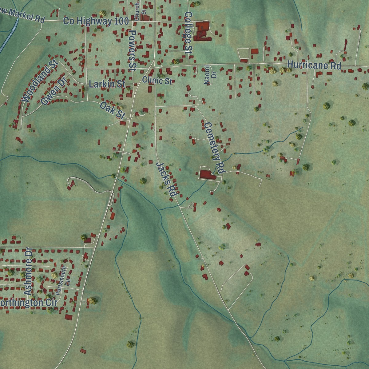 Second close-up of the map of Buckhorn, Alabama print showing more streets and buildings