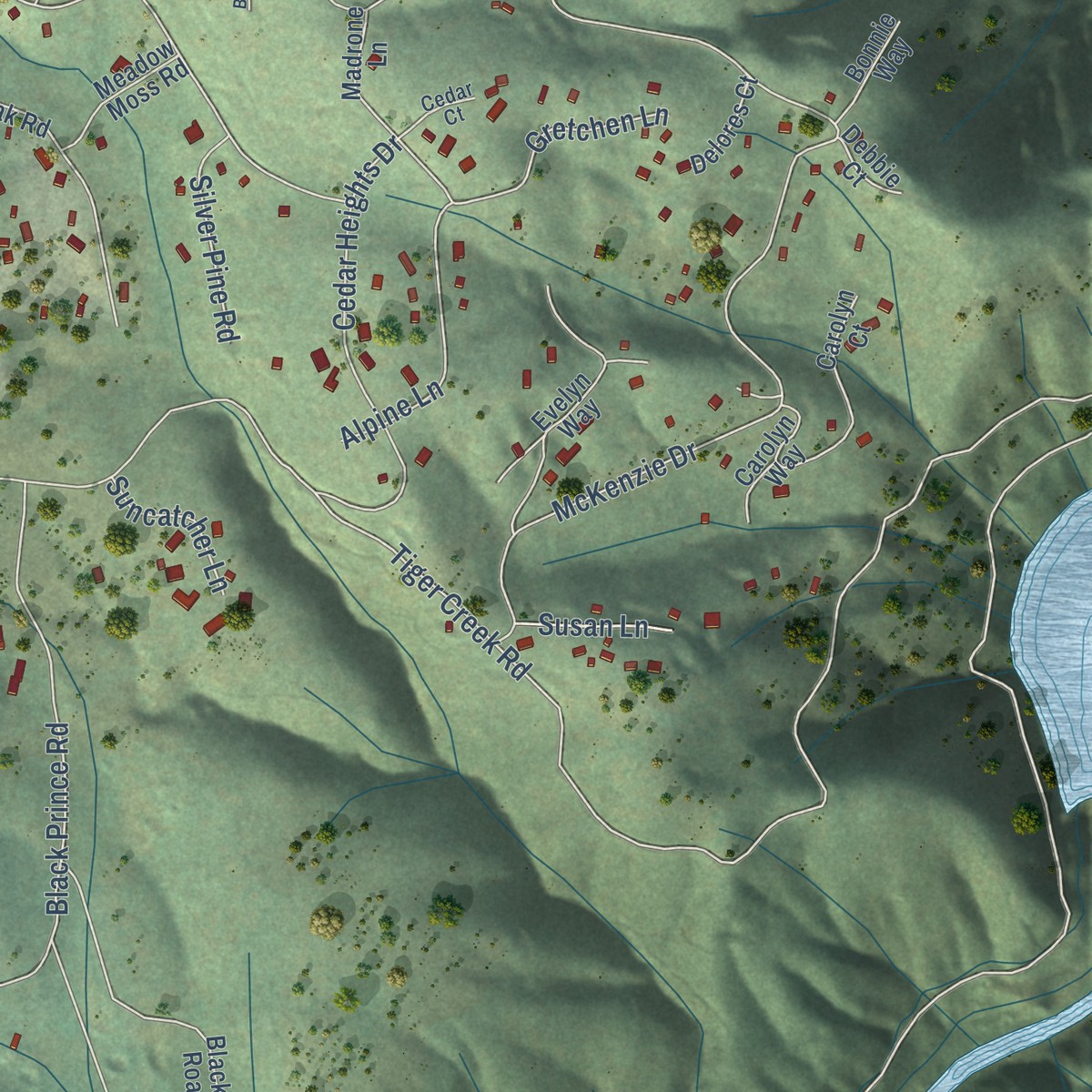 Second close-up of the map of Buckhorn, California print showing more streets and buildings