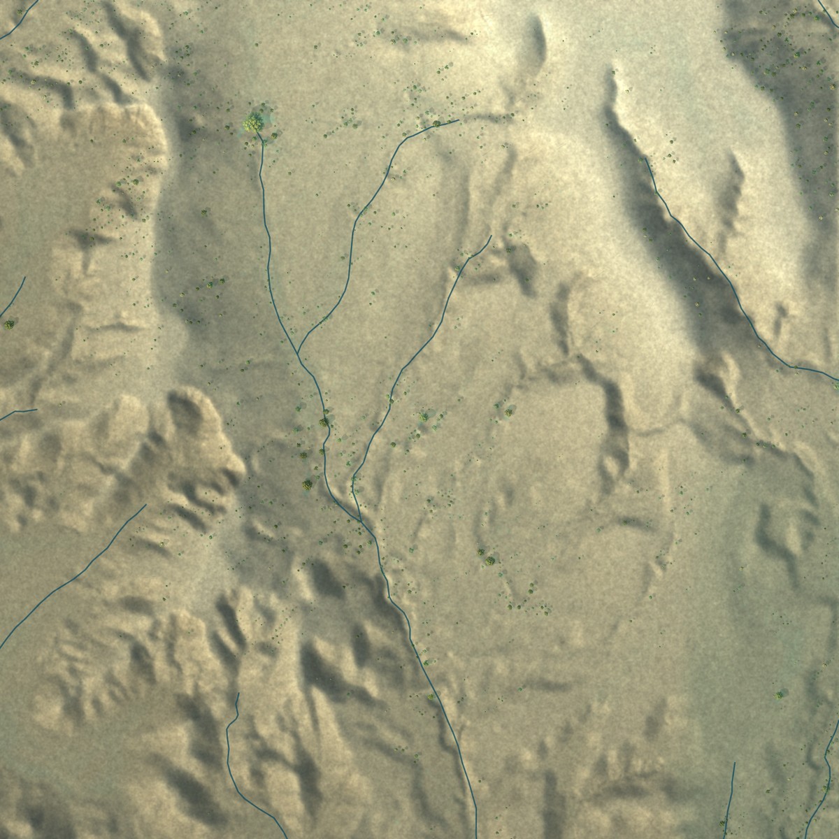 Second close-up of the map of Buckhorn, New Mexico print showing more streets and buildings