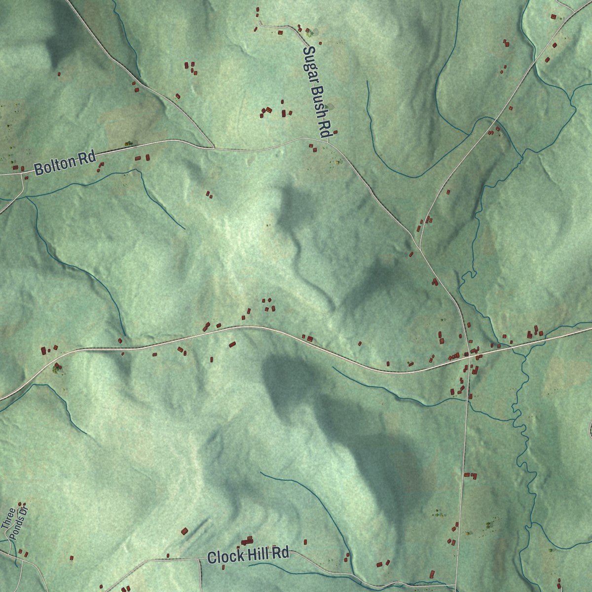 Second close-up of the map of Burlington, New York print showing more streets and buildings