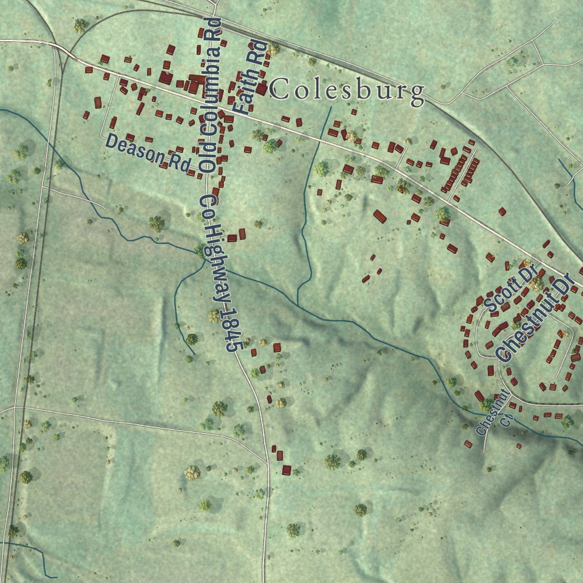 Second close-up of the map of Burns, Tennessee print showing more streets and buildings