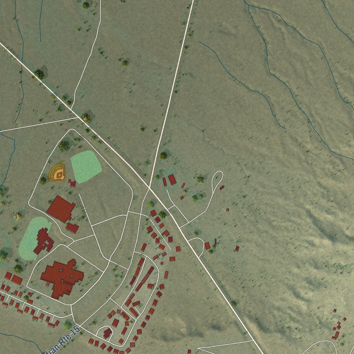 Second close-up of the map of Burnside, Arizona print showing more streets and buildings