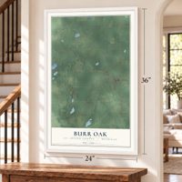 Burr Oak, St. Joseph County, Michigan map, 24 x 36 inch print in a white frame by a staircase