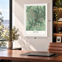 Butler, Butler County, Pennsylvania map, 18 x 24 inch print in a white frame in a home office